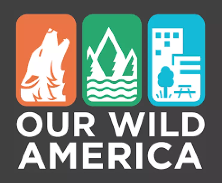 Our Wild America