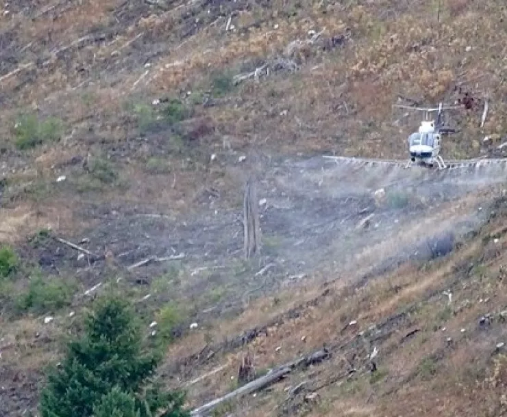 Seneca Lumber Company aerial spraying chemicals on their clearcut. Mist is sprayed out from a white helicopter over a brown clearcut hillside.