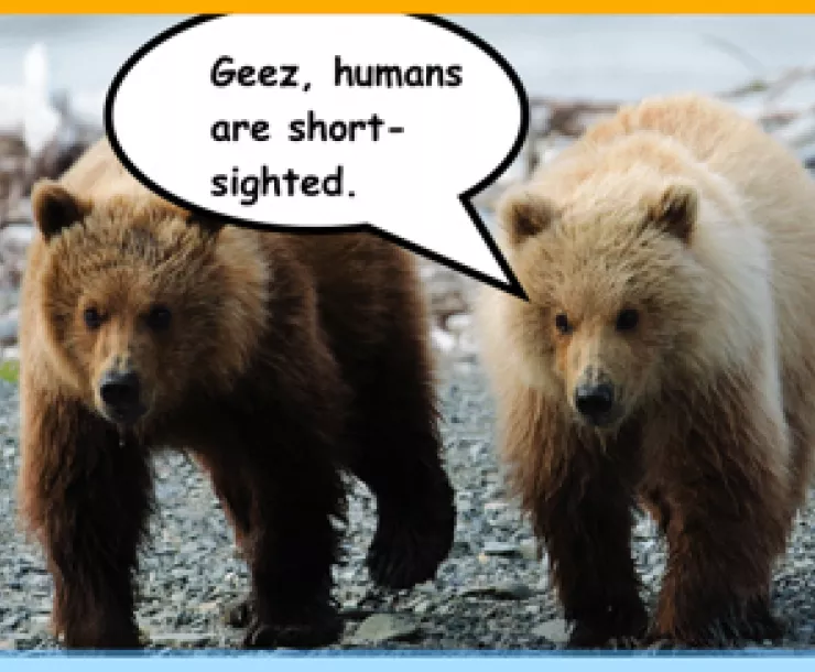A thumbnail image of two bears with the caption, "geez humans are short sighted"