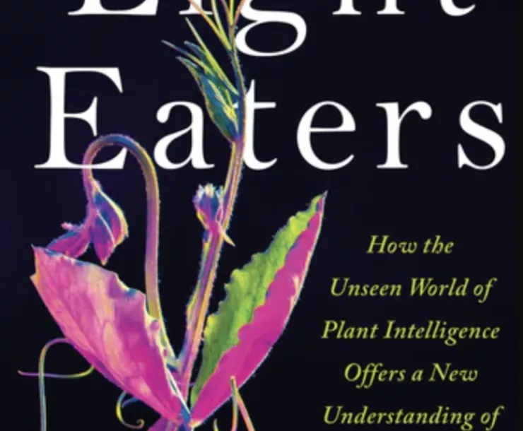 Cover for the book, "The Light Eaters by Zoe Schlanger" with a neon pink and green plant against a black background.