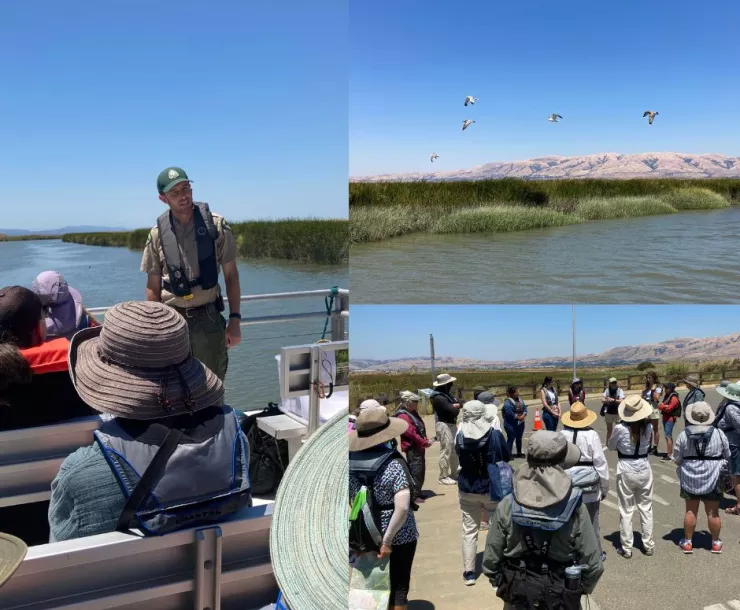 Alviso Salt Marsh Tour