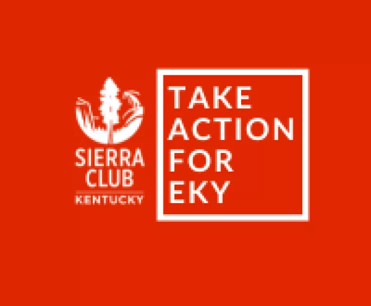 Red back ground with white text that reads, "Take action for EKY"