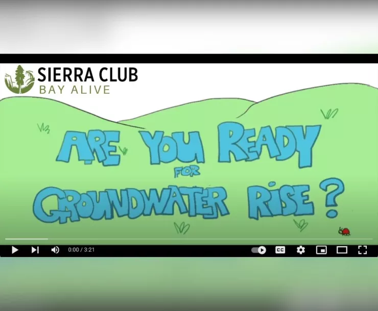 Groundwater Rise Video