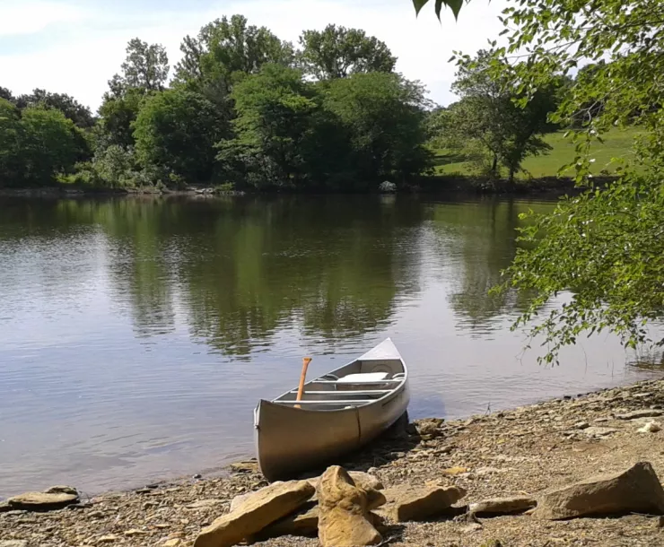 trees on edge of lake with rowboat on shore