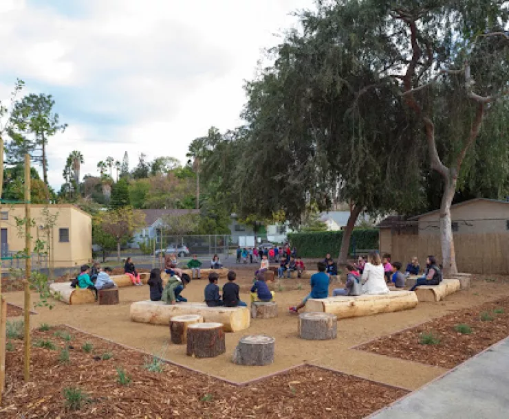 A group of children in a schoolyard sit on logs arranged into a circle. A large tree provides shade.