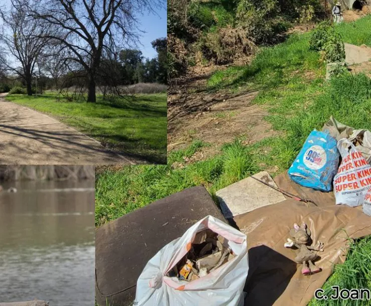 Sepulveda Basin collage 2