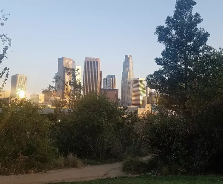 View of DTLA from Vista Hermosa Park