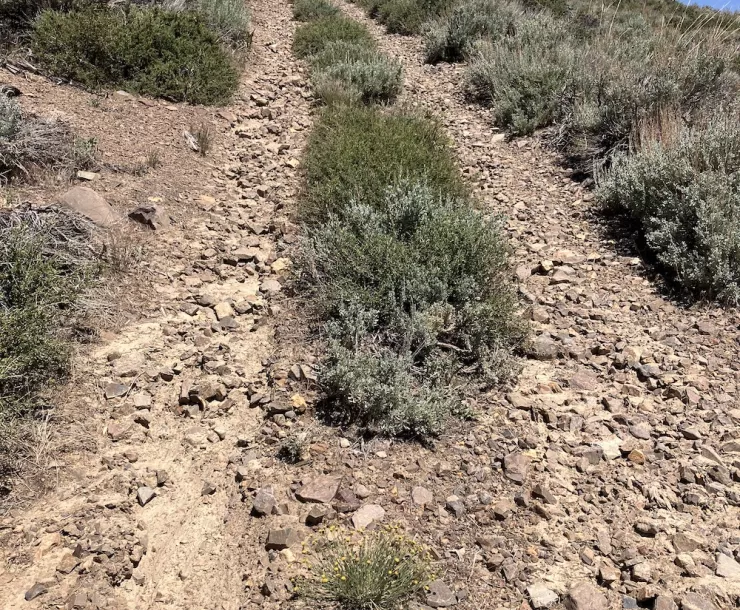 photo of a 2-track road