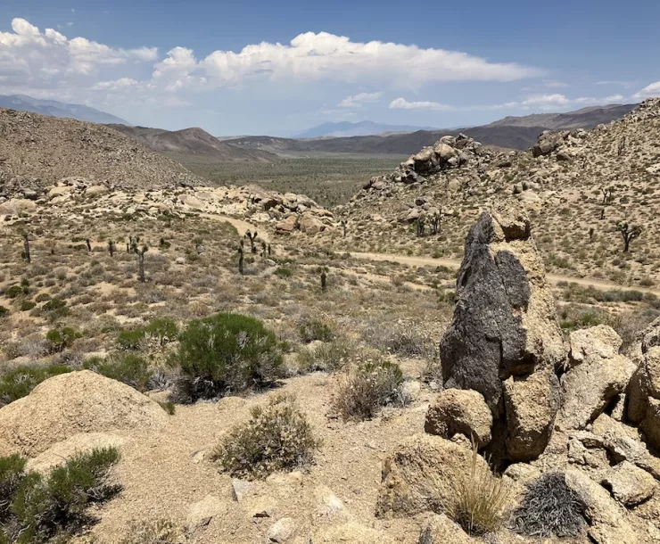 photo of view of Little Cactus Flat