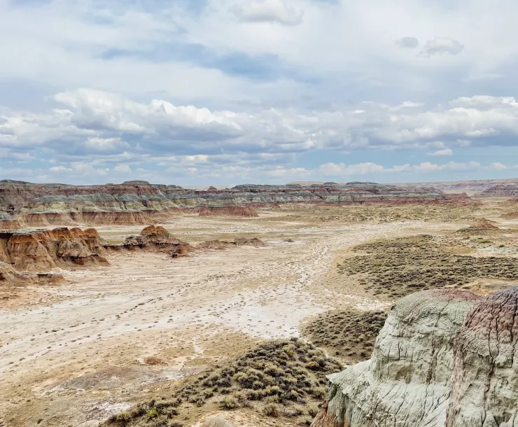 Red Desert WY