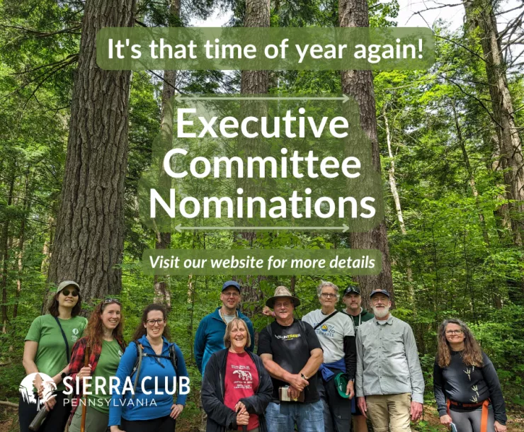 Sierra Club staff and volunteer leaders stand under tall pine trees. White text reads "It's that time of year again! Executive Committee Nominations. Visit our website for more details."