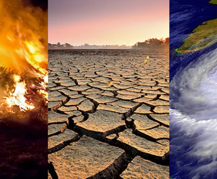 Climate change effects