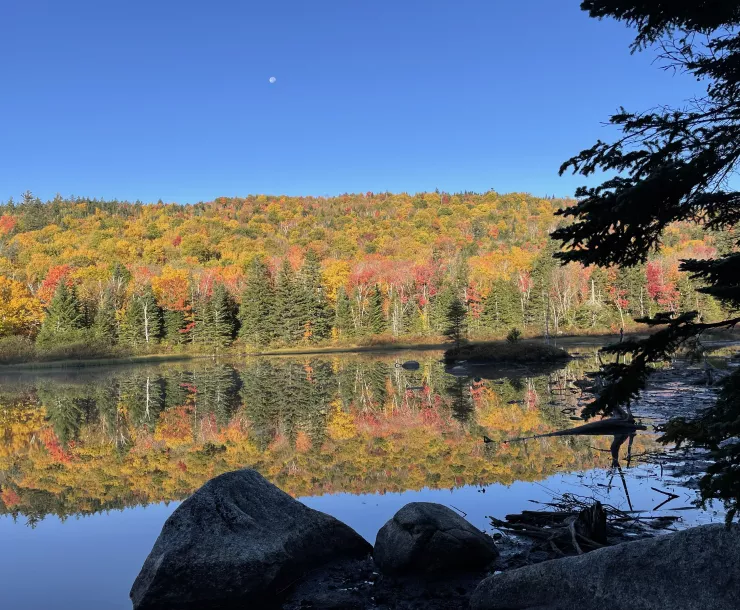 A forest with Fall color reflected on a lake with a bright blue sky above