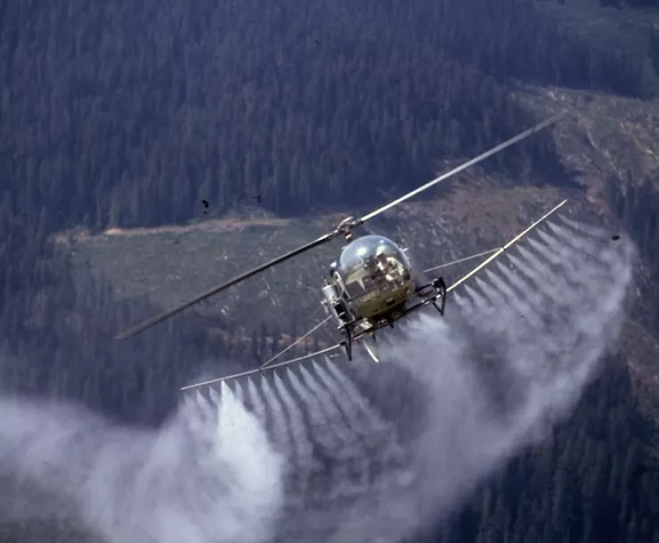 A photograph of a helicopter flying over a forest with a cloud of pesticides being sprayed behind it