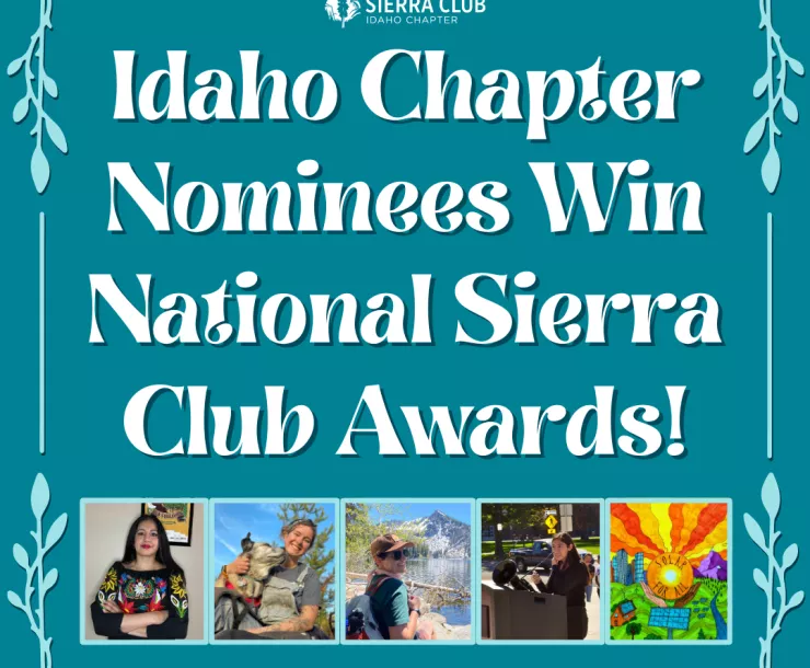 white text on blue background that reads "Idaho Chapter Nominees Win National Sierra Club Awards!"