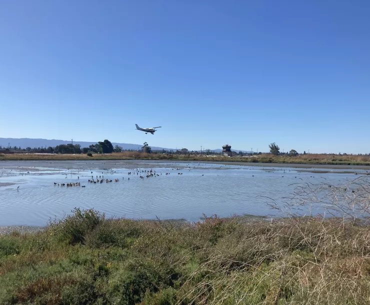 Palo Alto Airport