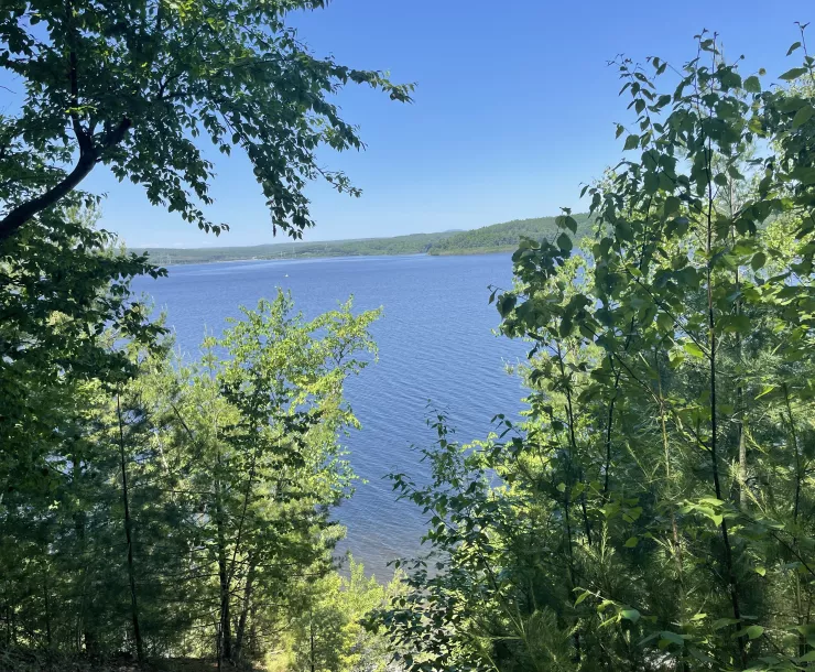 Wachusett reservoir through some tree