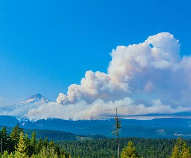 An enormous plume of smoke rises into a blue sky from a fire in a stretch of evergreen trees. A sharp peak with patches of snow rises in the distance.