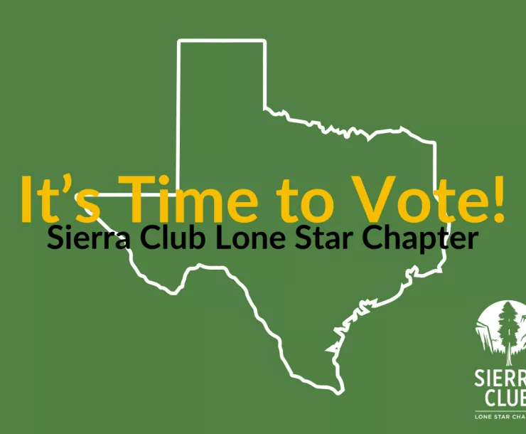 green image with texas outline and text saying it's time to vote