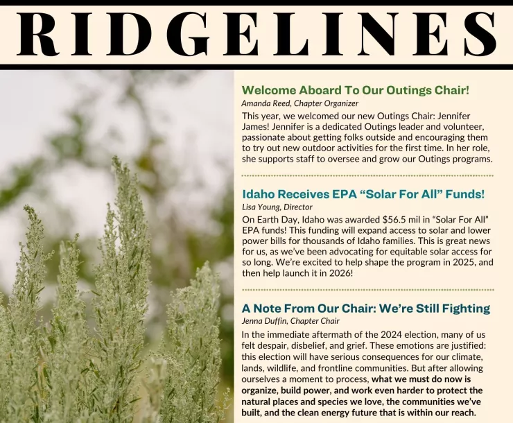 front cover of Newsletter, RIDGELINES written at top, picture of sagebrush on side