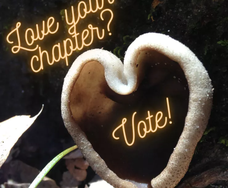 A heart-shaped fungus with the words 'thank you for voting' written next to it