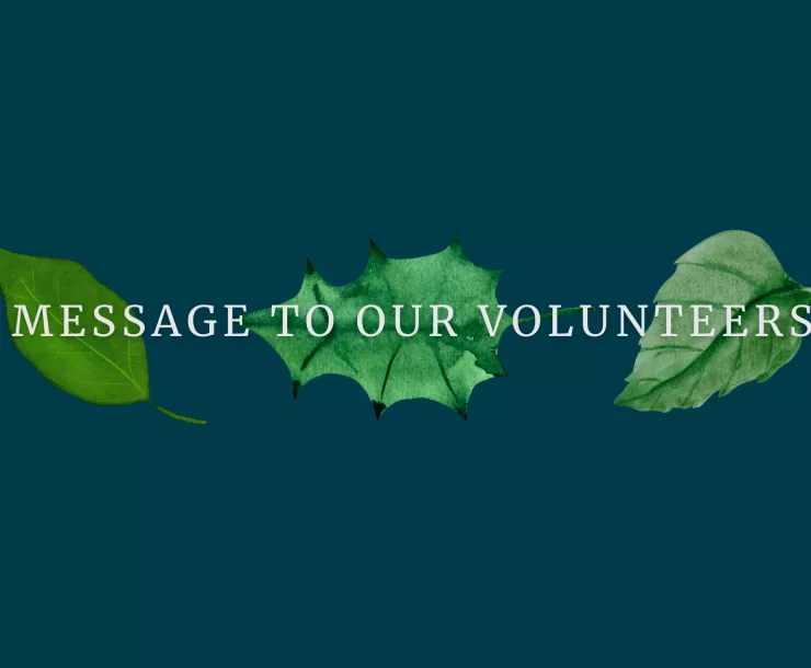 Volunteer Message