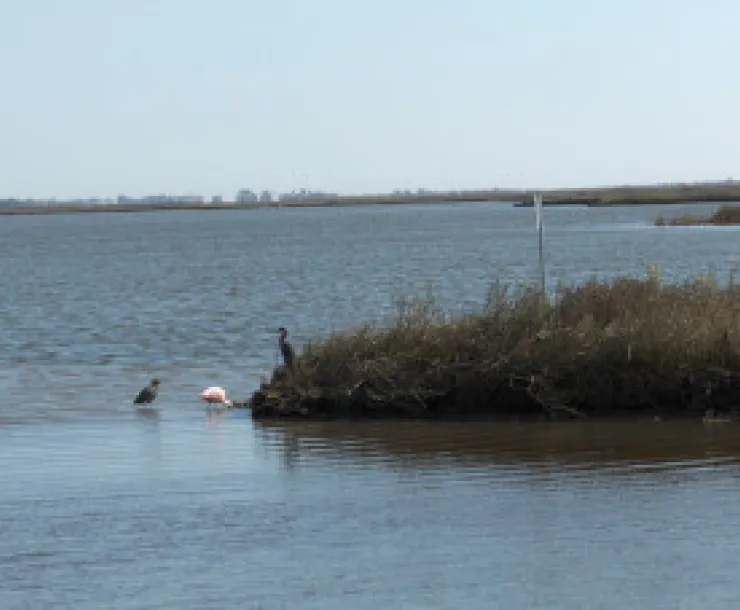 Galveston Bay shoreline