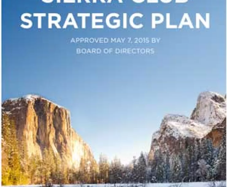 strategicplan-2015.jpg