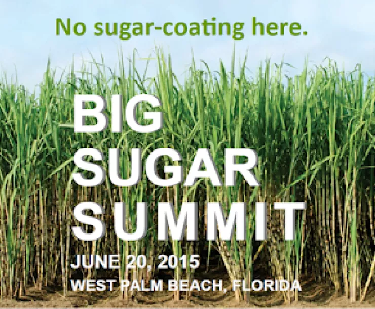 Big Sugar Summit BACK DROP.png
