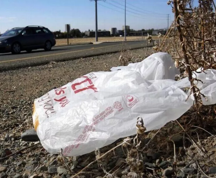 California Plastic Bags.jpg