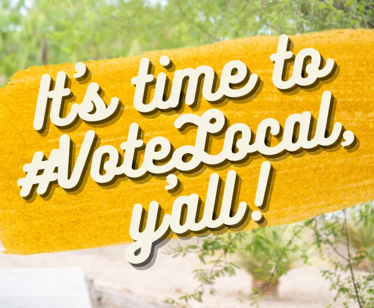 Copy of #VoteLocal 2021 Banner (2).png