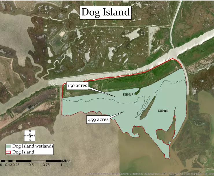 Dog Island wetlands map.jpg