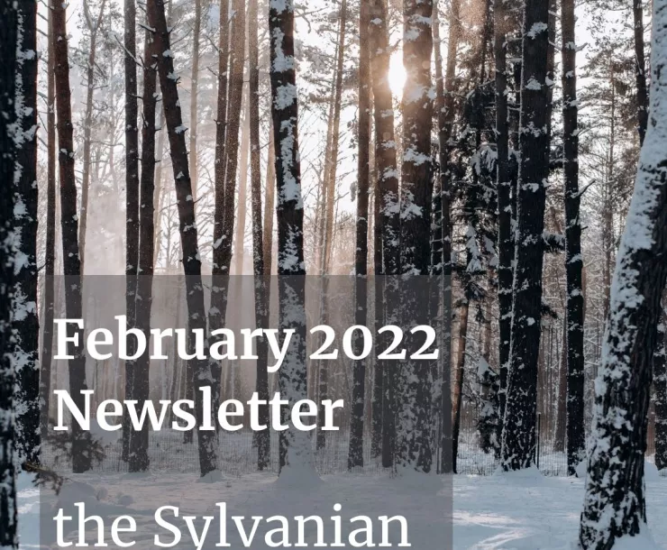 February 2022 newsletter_snowyforest.jpg