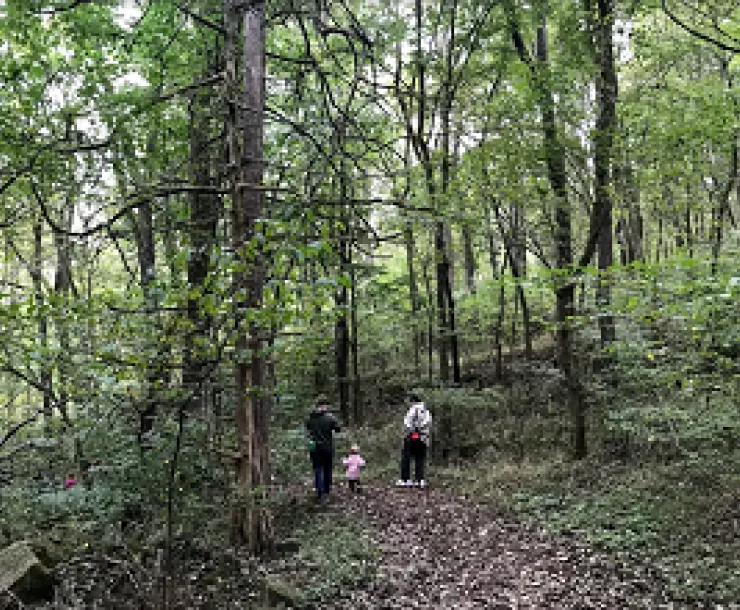 Jamboree 2019 Family exploration in the woods by Bella Dastvan 10.12.2019 web.png