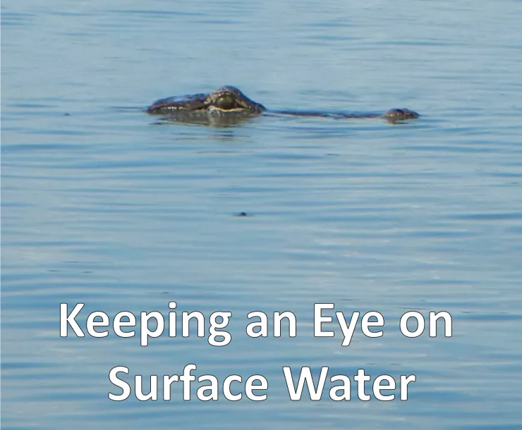 Keeping an Eye on Surface Water#5.jpg