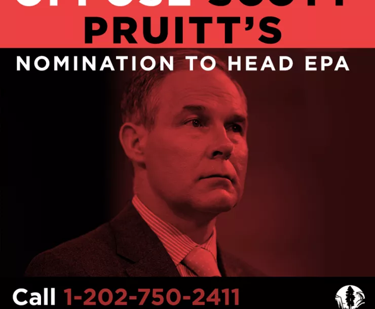 No on pruitt.png