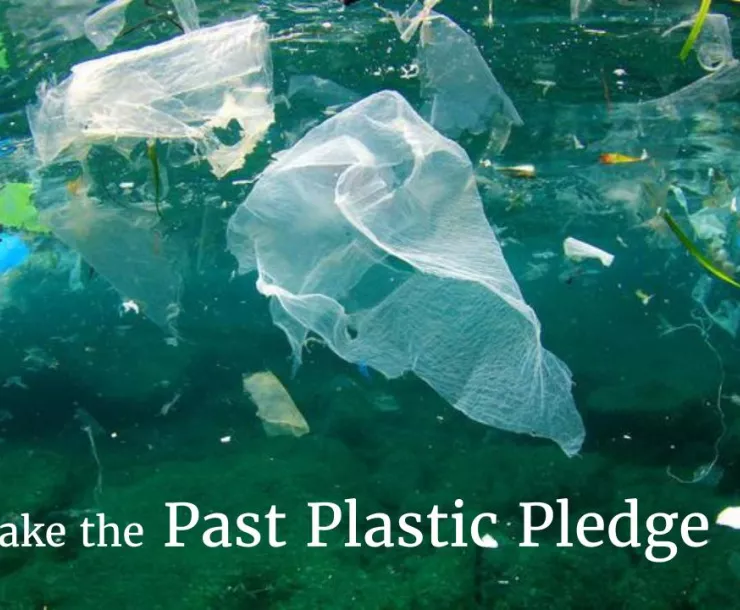 Past Plastic Pledge.jpg