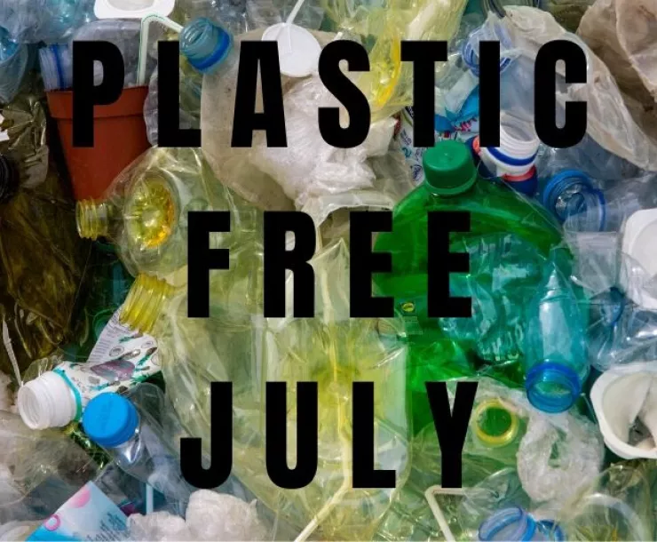 Plastic Free (1).jpg