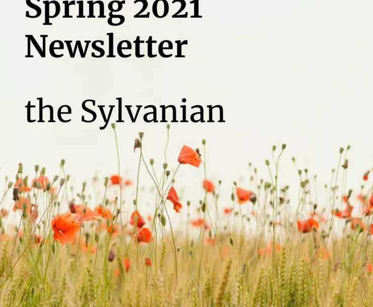 Spring 2021 newsletter_wildflowers.png