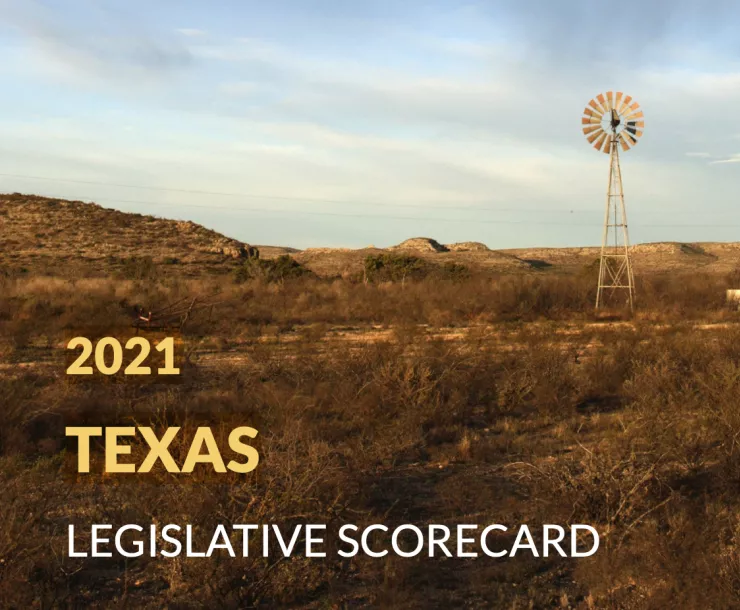 TX_Legislative_Scorecard_2021_Cover.png