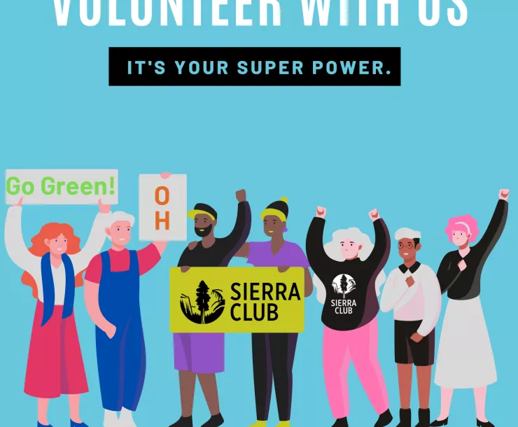 Volunteer With Us 2020 (3).png