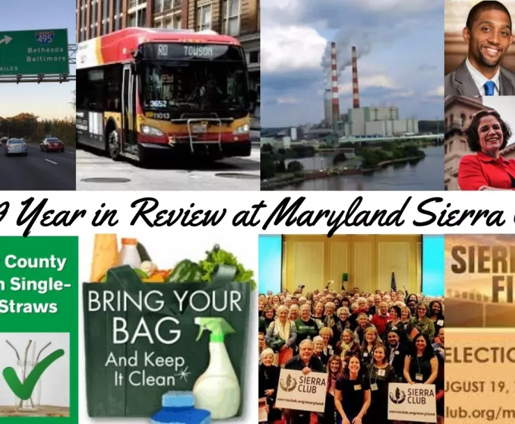 Year  in Review - Maryland Sierra Club.jpg