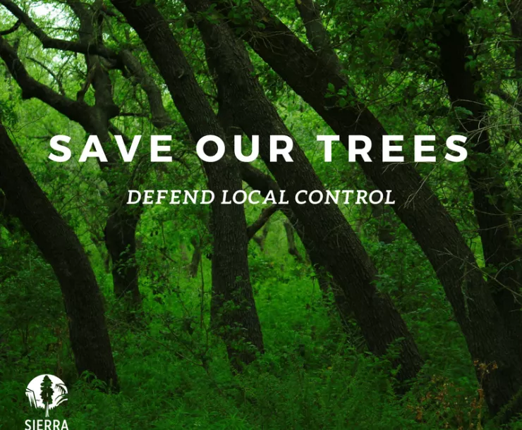 TX-CHP-1900-Defend Trees Square.png