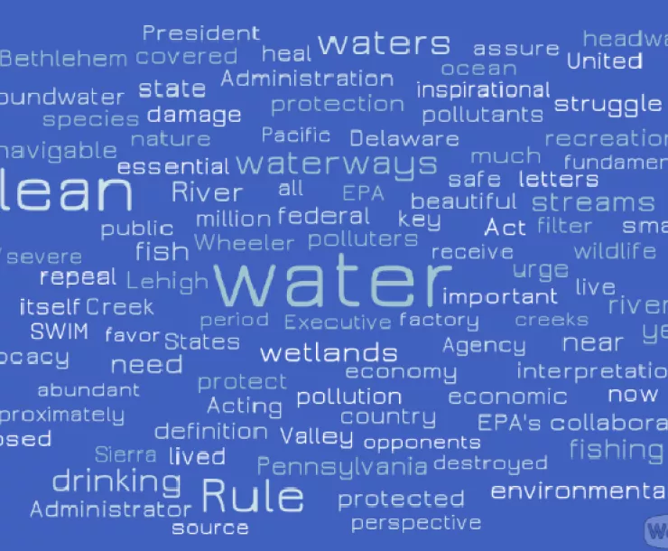 20190222 Popular words -Clean Water Rule support letters..png