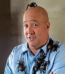 Andrew Zimmern: "We've done more than 50 episodes, and I'm hard-pressed now to find something I haven't eaten." | Courtesy of the Travel Channel