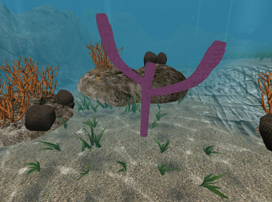 Subjects use VR to enter the bodies of coral.