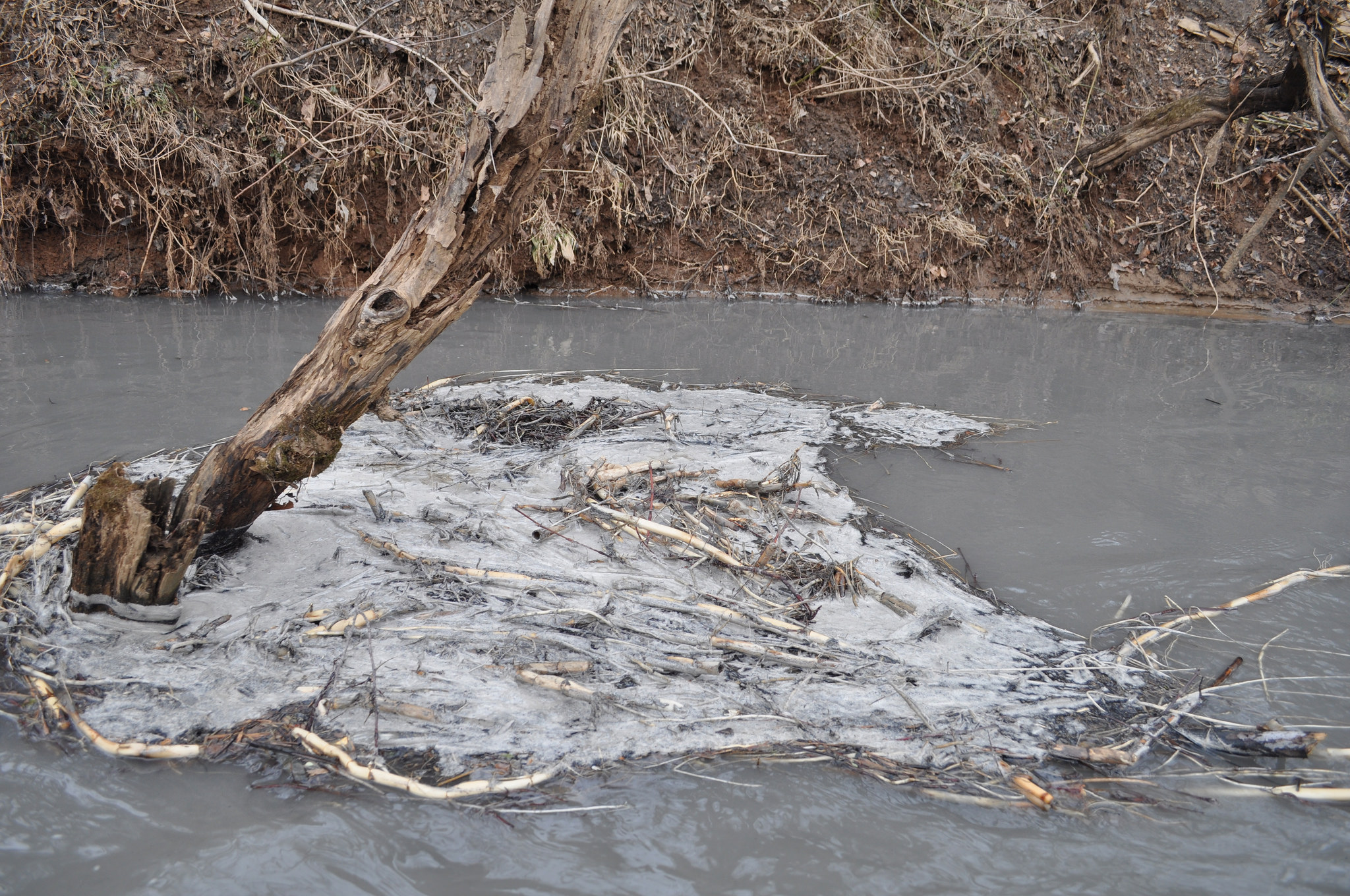 Coal Ash And Clean Water The Dan River Spill Five Years Later Sierra Club