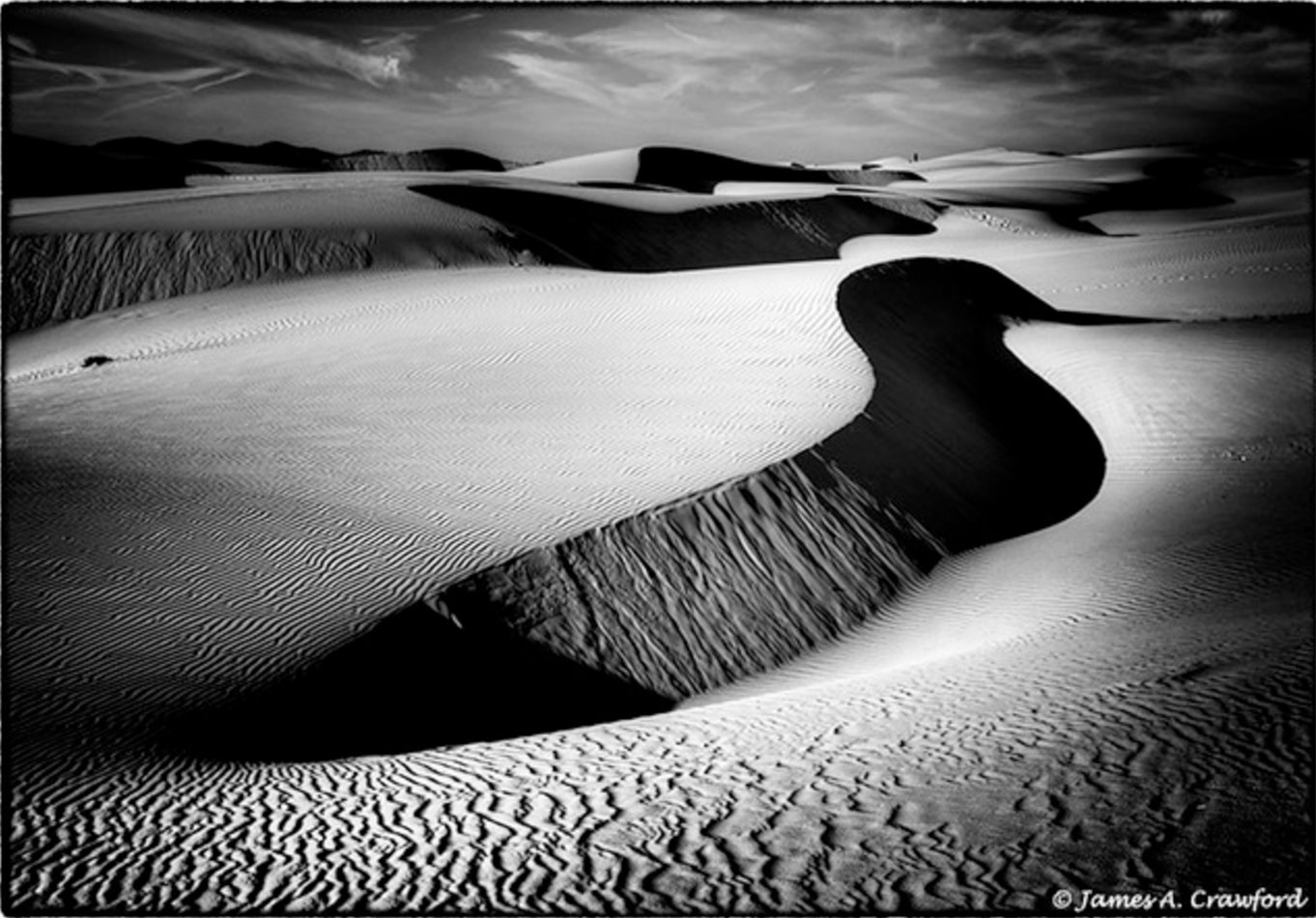 Pismo Dunes Natural Preserve, Oceano, San Luis Obispo County, California