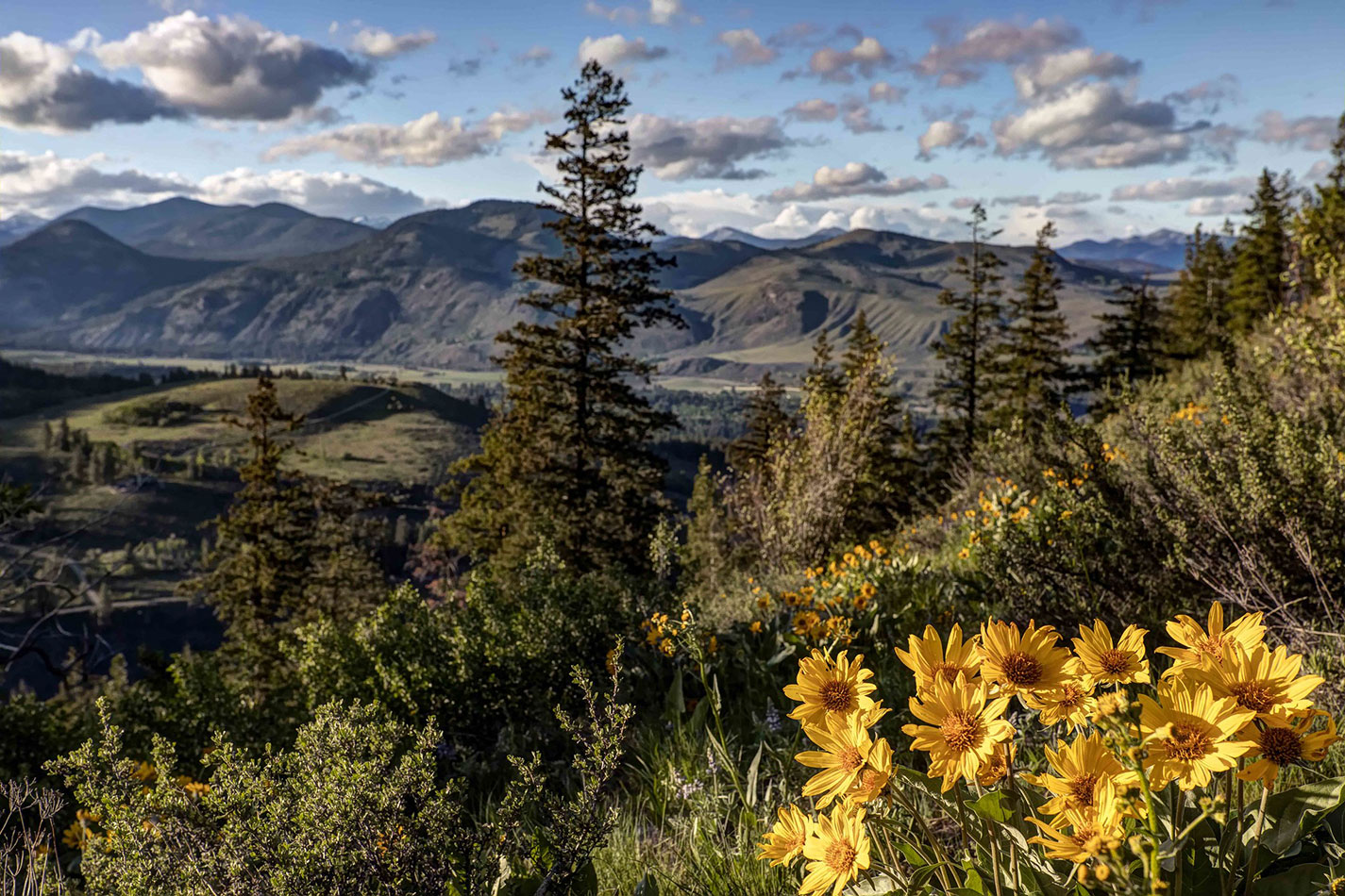 Sun Mountain, Washington