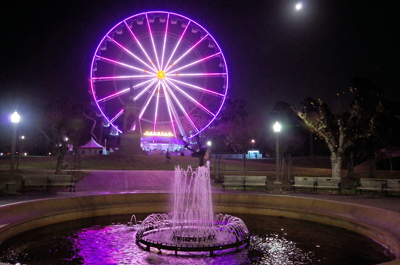 The SkyStar Observation Wheel brightly lit in Golden Gate Park on a Decemeber night. 